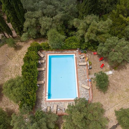 Villa I Tigli Campiglia Marittima Eksteriør bilde