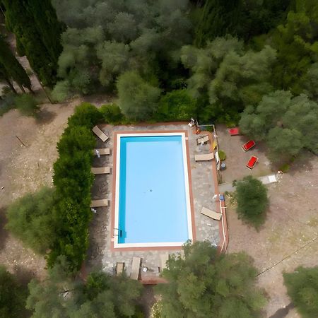 Villa I Tigli Campiglia Marittima Eksteriør bilde