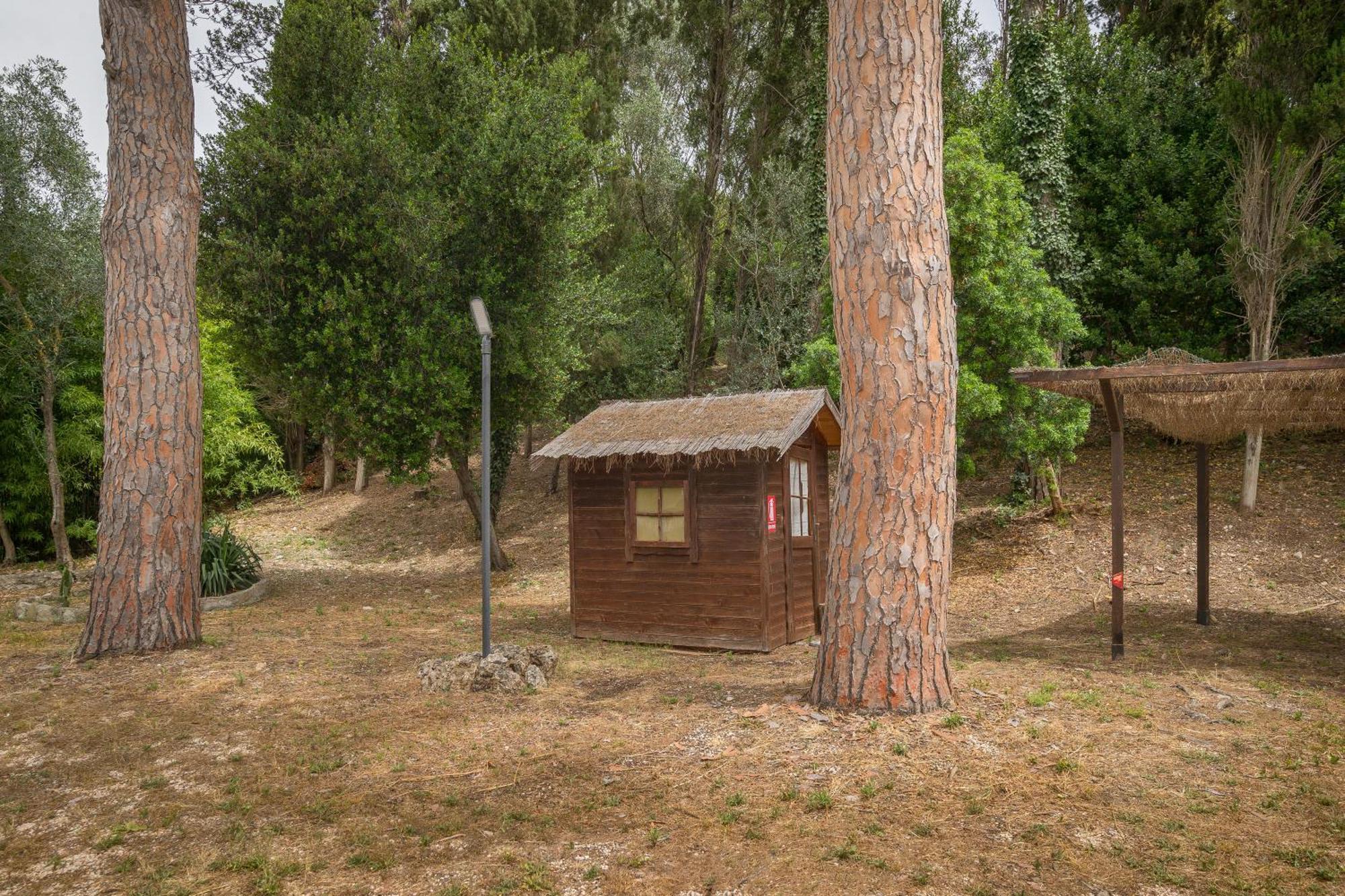 Villa I Tigli Campiglia Marittima Eksteriør bilde