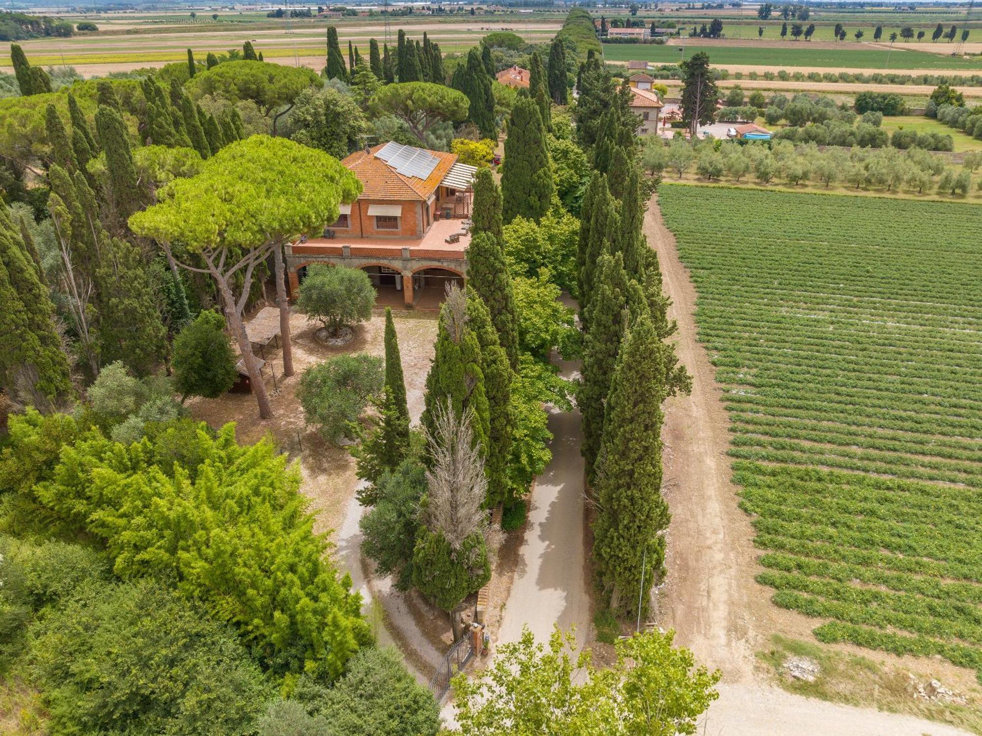 Villa I Tigli Campiglia Marittima Eksteriør bilde