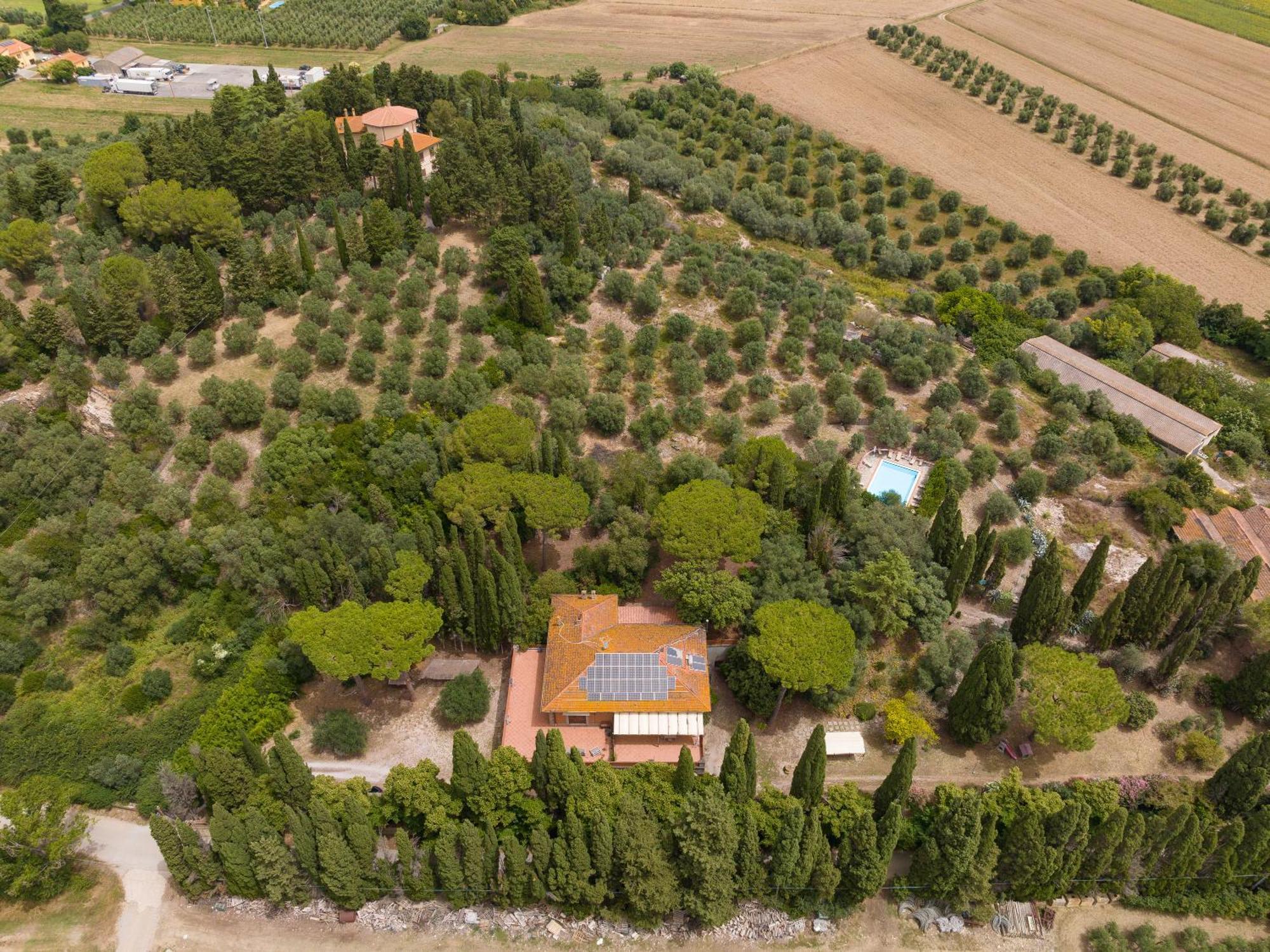 Villa I Tigli Campiglia Marittima Eksteriør bilde