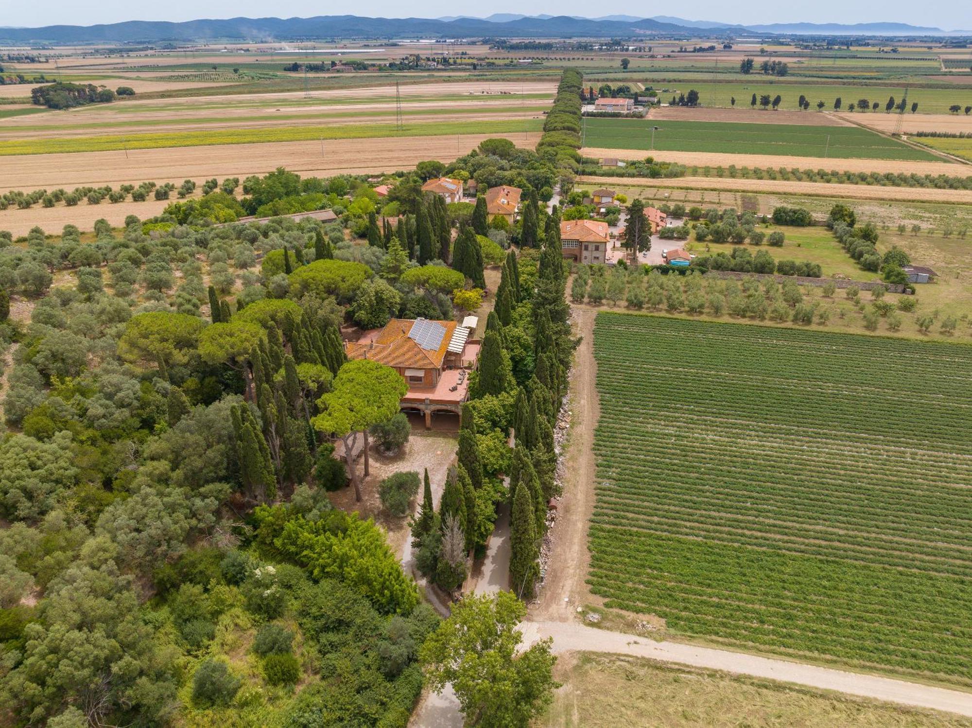 Villa I Tigli Campiglia Marittima Eksteriør bilde