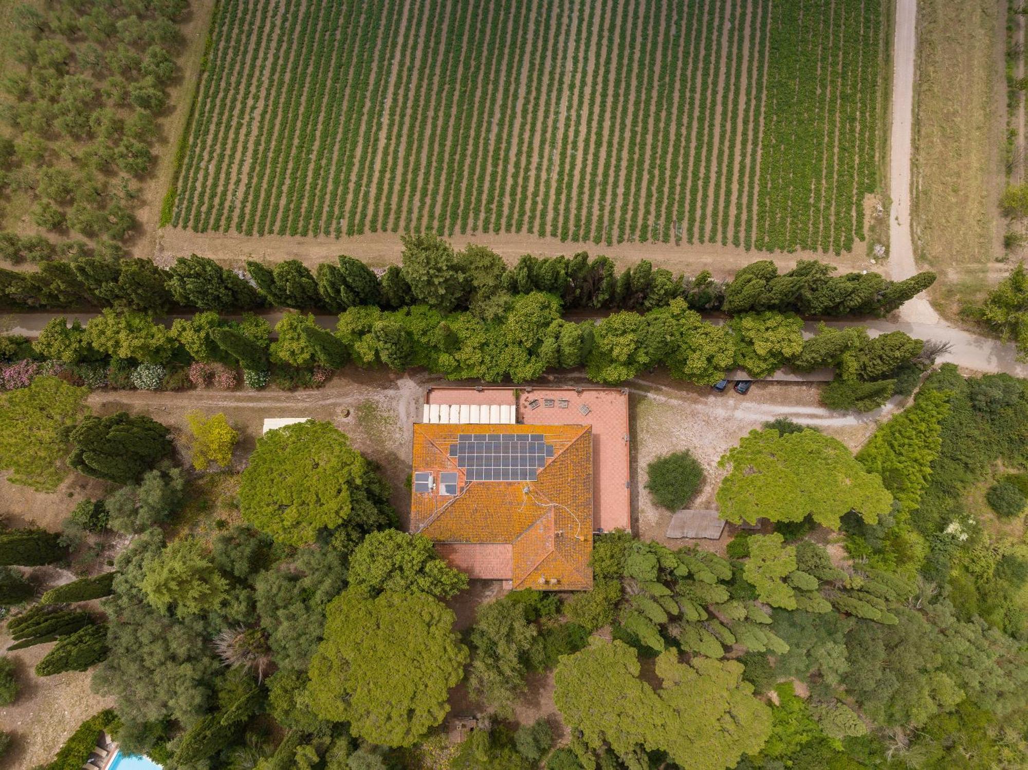 Villa I Tigli Campiglia Marittima Eksteriør bilde