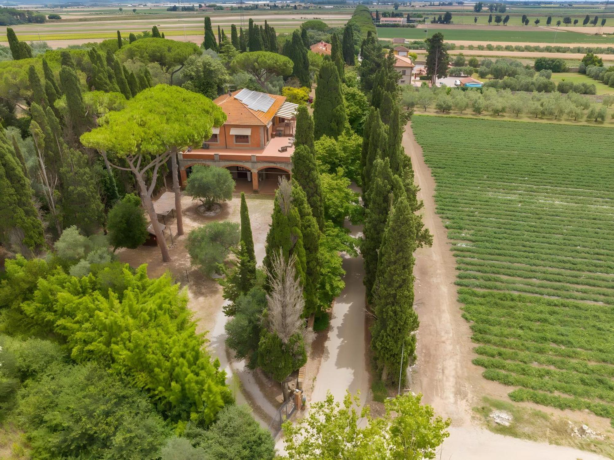 Villa I Tigli Campiglia Marittima Eksteriør bilde
